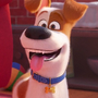 Max em Pets: A Vida Secreta dos Bichos e Pets: A Vida Secreta dos Bichos 2