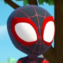 Miles Morales / Spin (2ª voz) em Spidey e Seus Amigos Espetaculares