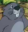 Marmota em As Novas Aventuras do Ursinho Puff (S&C)