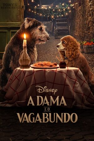 A Dama e o Vagabundo (2019).jpeg
