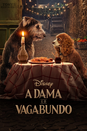A Dama e o Vagabundo (2019).jpeg