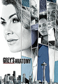 Grey's Anatomy (20ª Temporada-presente)
