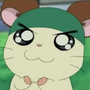 Touquinha em Hamtaro