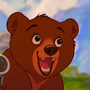 Koda em Irmão Urso e Irmão Urso 2