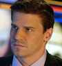 Seeley Booth em Bones