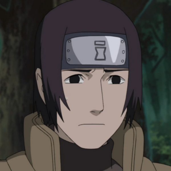 Arquivo:Yaoki (NS).png