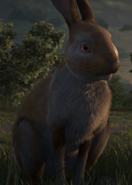 Arquivo:Haystack.png