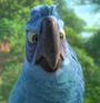 Eduardo em Rio 2