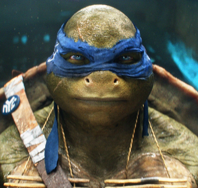 Arquivo:Leonardo2014.png