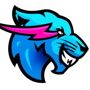 MrBeast Gaming.png