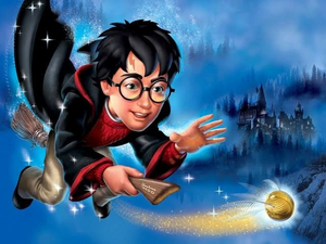 Harry Potter jogo.jpeg