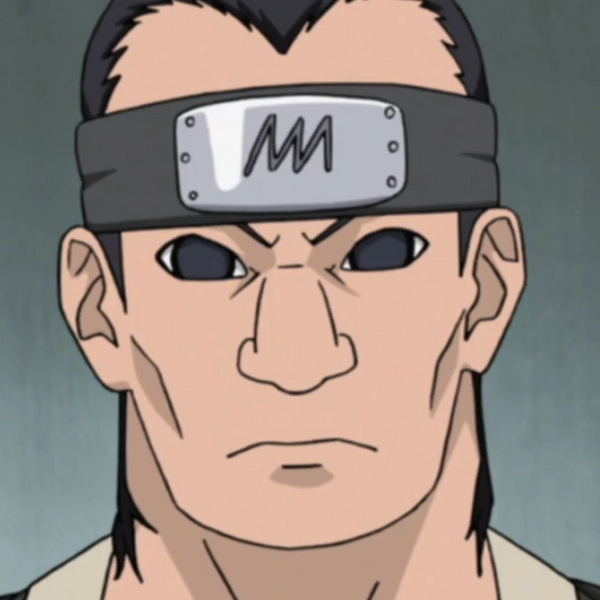 Arquivo:Zōsui (NS).png