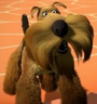 Rufus em O Bicho Vai Pegar 2