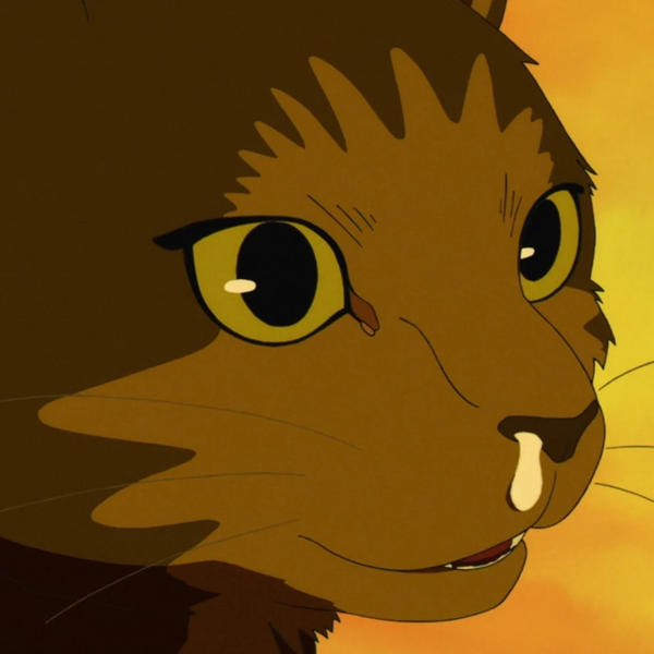 Arquivo:Tora-Sonny-boy.jpg