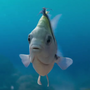 Linguado em A Pequena Sereia