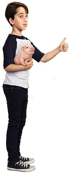 Arquivo:Greg Heffley 2017.png