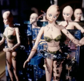 Miniatura da versão das 02h51min de 9 de agosto de 2026