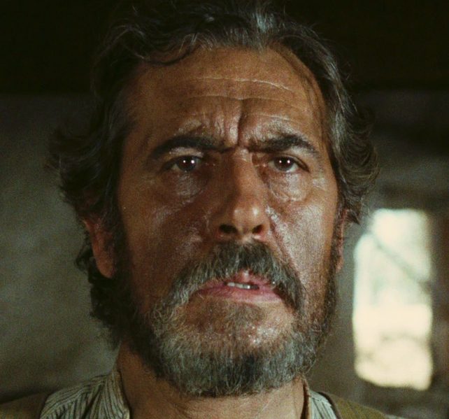 Arquivo:Stevens.png