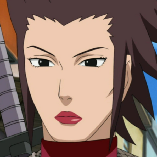 Arquivo:Tokiwa (NS).png