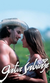 Gata Selvagem (ep. 47-252; Co-direção)