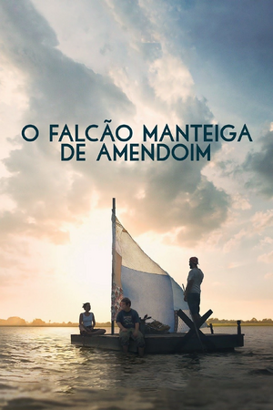 OFMDA.jpg