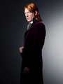 Guilherme "Gui" Arthur Weasley nos filmes da franquia Harry Potter
