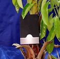 Miniatura da versão das 07h02min de 9 de agosto de 2026
