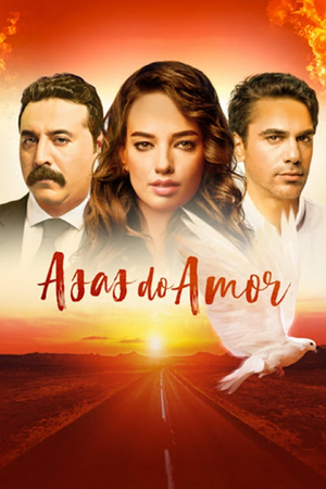Asas do Amor.jpeg