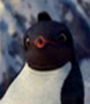 Lombardo em Happy Feet: O Pinguim e Happy Feet 2: O Pinguim