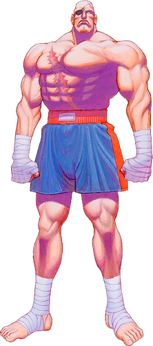 Sagat artwork.webp
