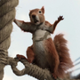 Kevin em Dolittle
