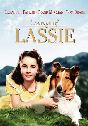 Courage of Lassie.jpg