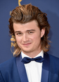 Joe Keery