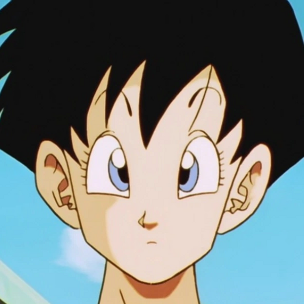Arquivo:Videl 2 (DBZKEF).png