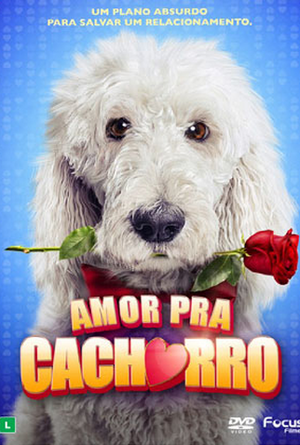 AmorPraCachorro.webp