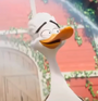 GooGoo em Patos!
