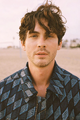 Logan Lerman