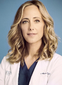 Dra. Theodora "Teddy" Altman em Grey's Anatomy