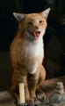 Gato Cruel em Os Smurfs 1 e 2