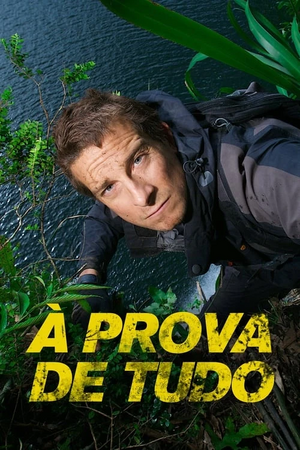 Prova de Tudo.jpg