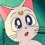Artemis em Sailor Moon