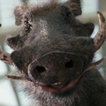 Miniatura da versão das 06h48min de 9 de agosto de 2026